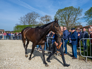 PN170422-71 - Gaulois